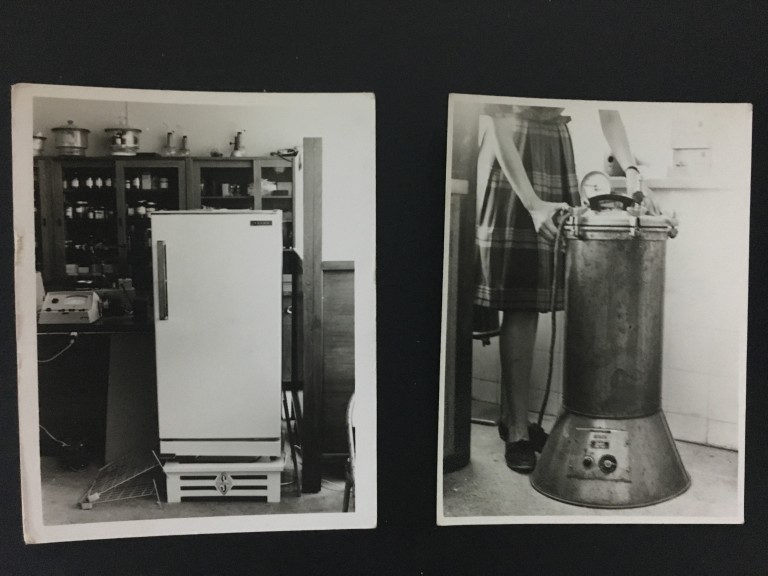 History Image 3