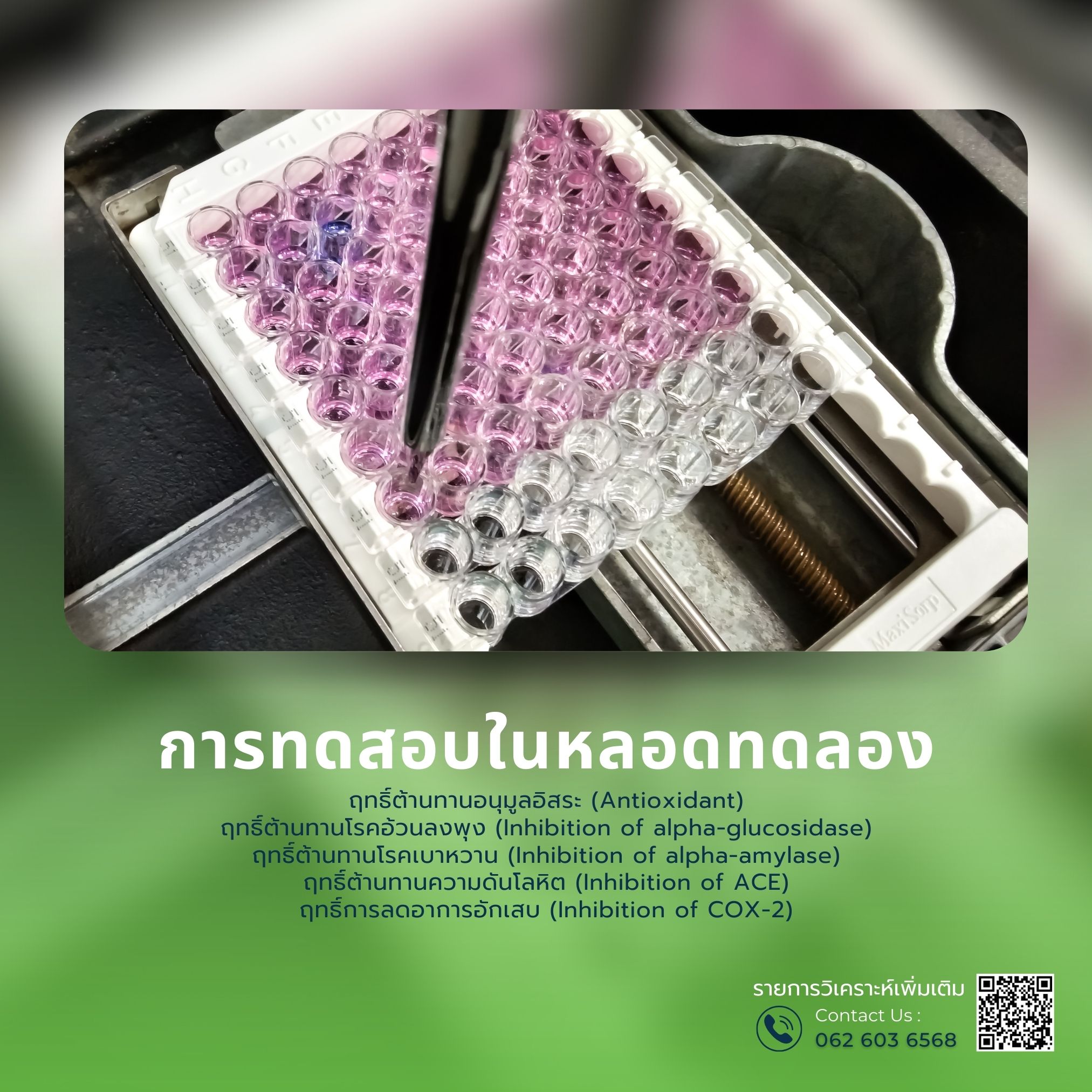 รูปที่ 15