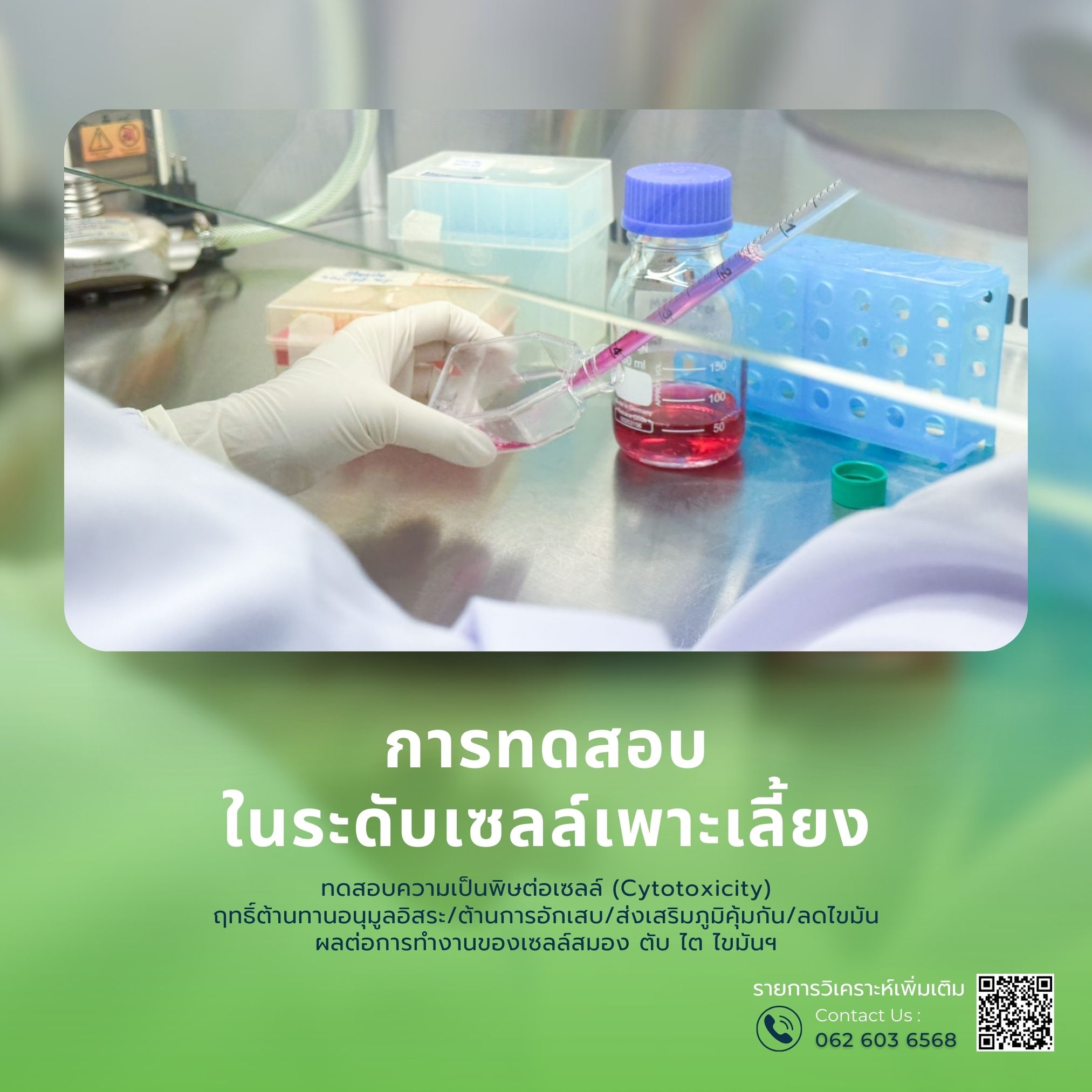 รูปที่ 16