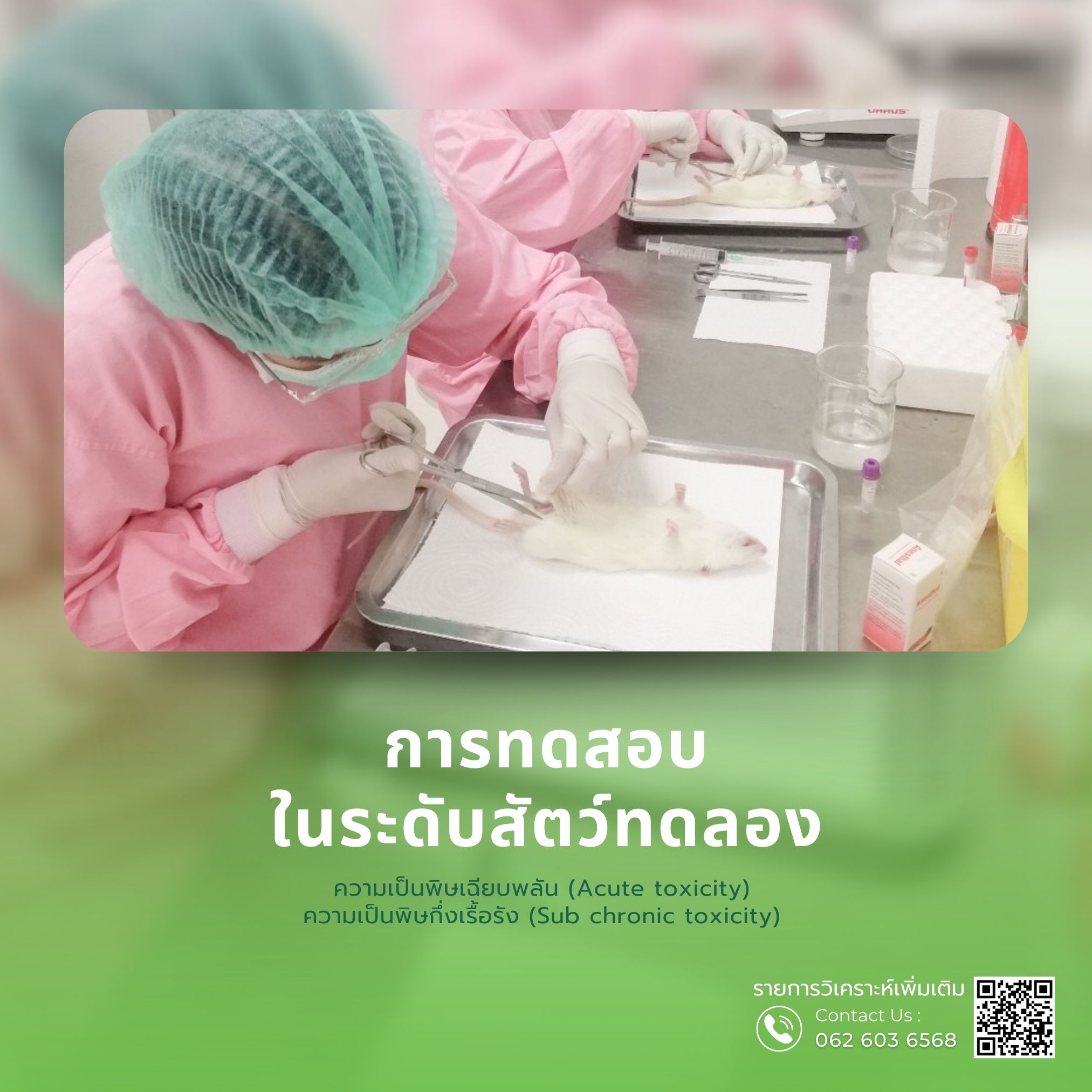 รูปที่ 17