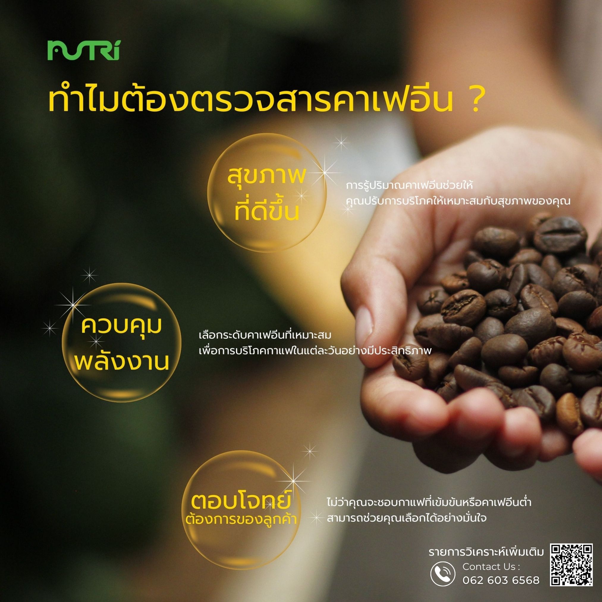 รูปที่ 31